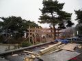 gate pine 08.JPG